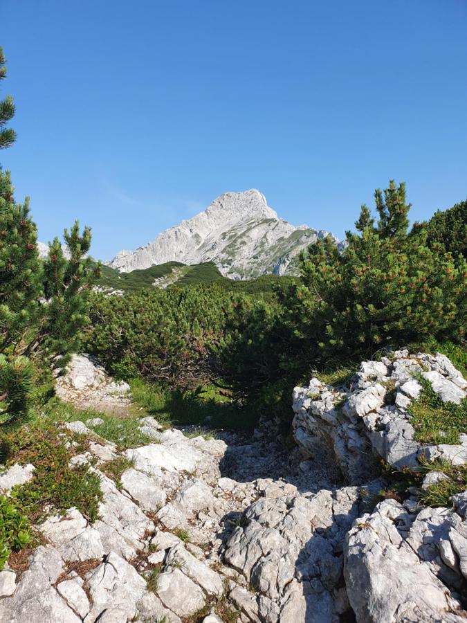 Holiday Home Prdelanca Luče Eksteriør bilde