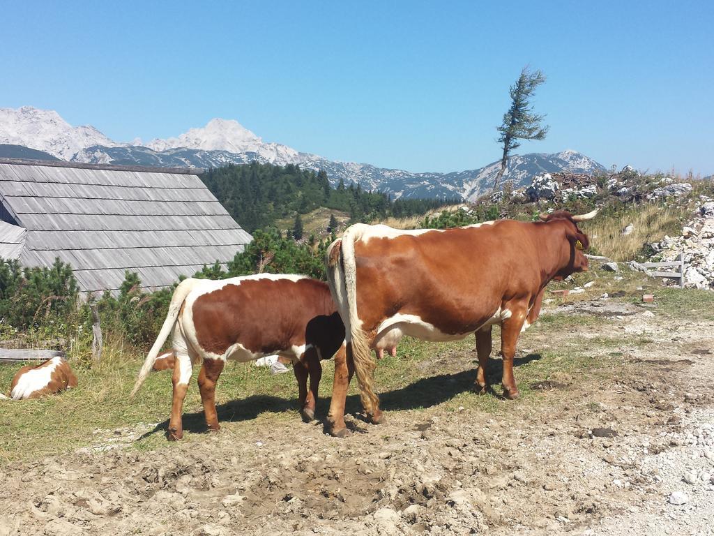 Holiday Home Prdelanca Luče Eksteriør bilde